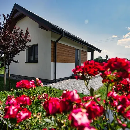 Apartment I U Basi *