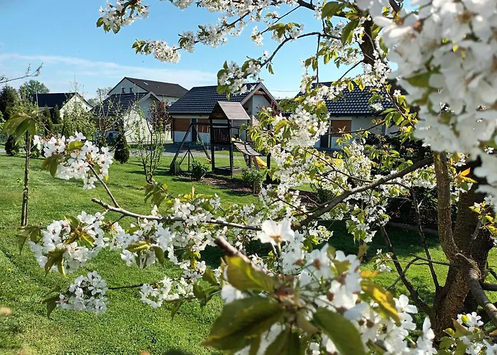 I U Basi Apartamento *